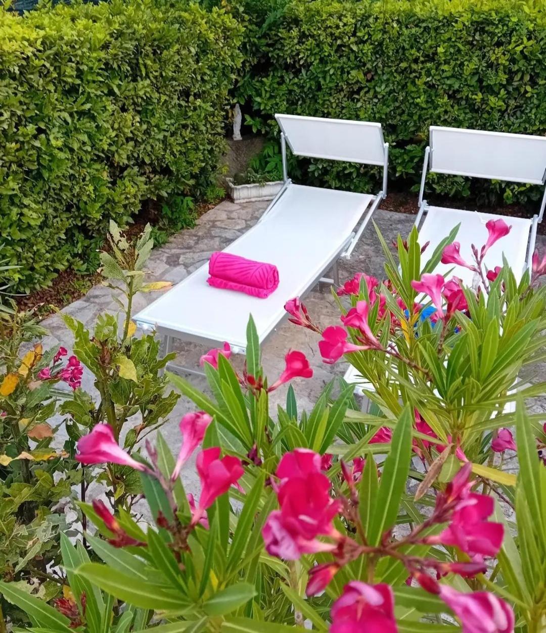 Ginevra Casa Vacanze Panzano in Chianti Dış mekan fotoğraf